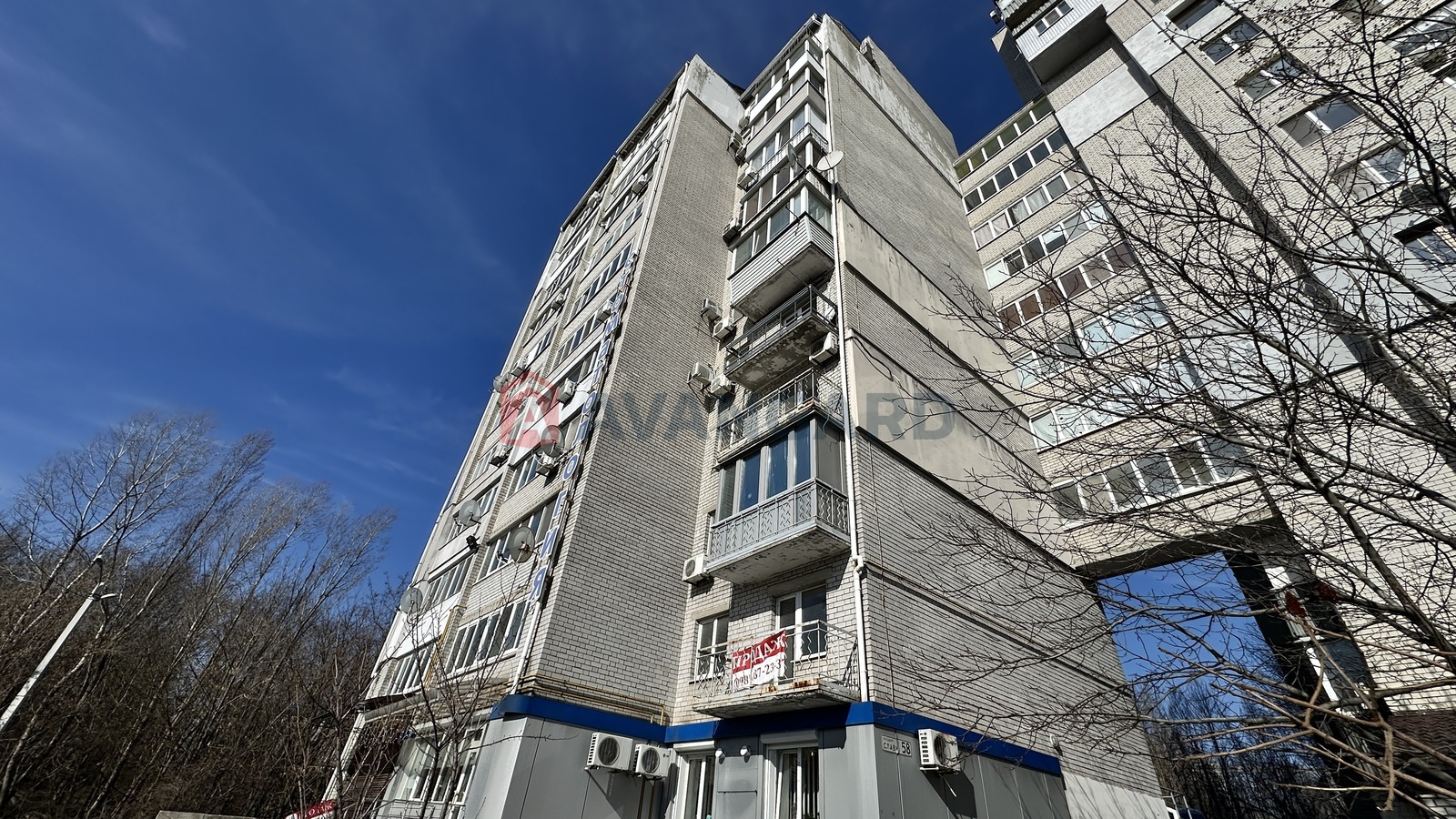 1 ����. ��������, 38/20/8 ��. �., 6/11 ���� ���� 16