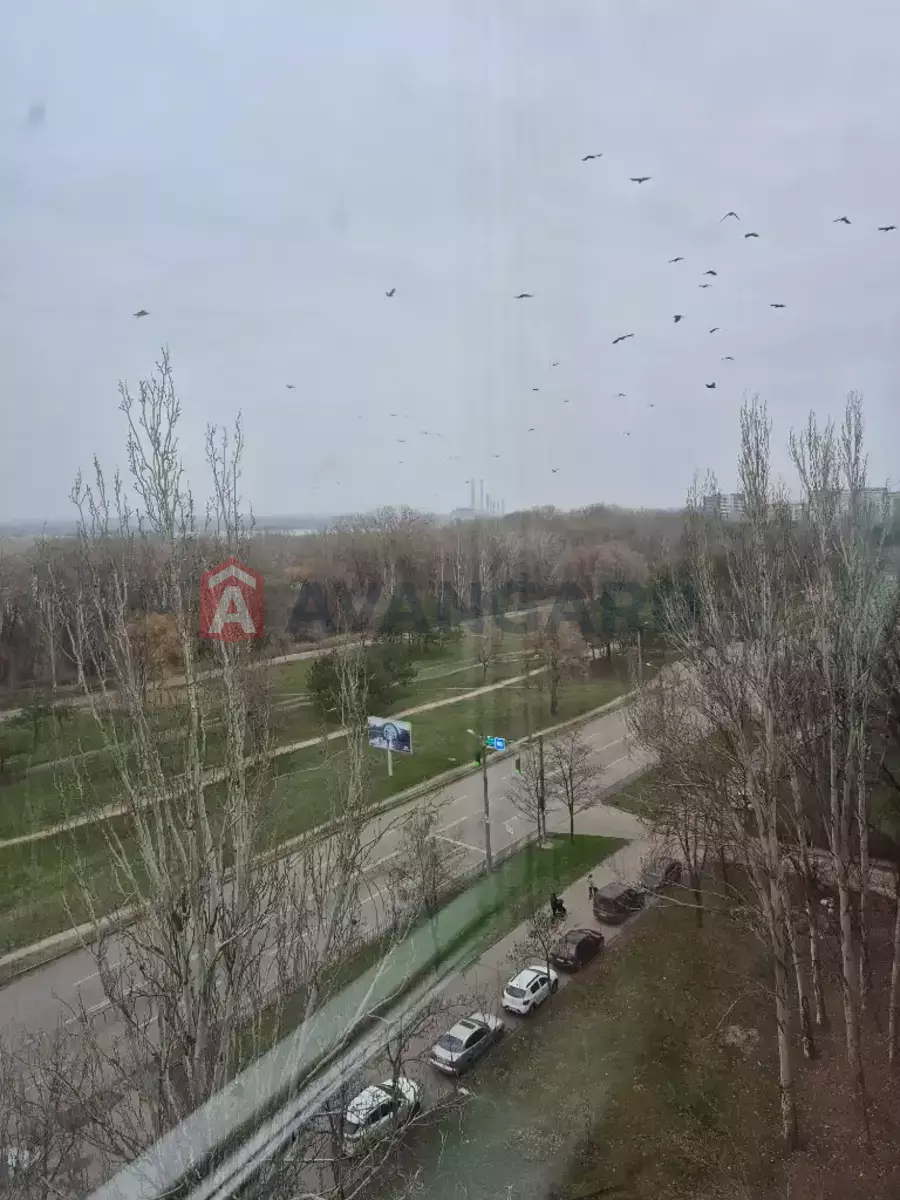 1 . , 38/20/9 . ., 9/9   7