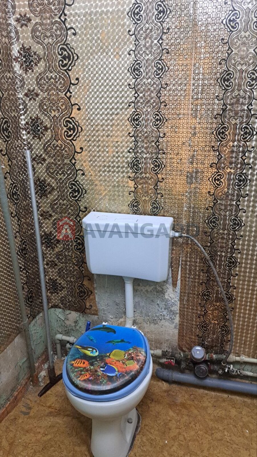 1 ����. ��������, 30/15/6,5 ��. �., 5/5 ���� ���� 9