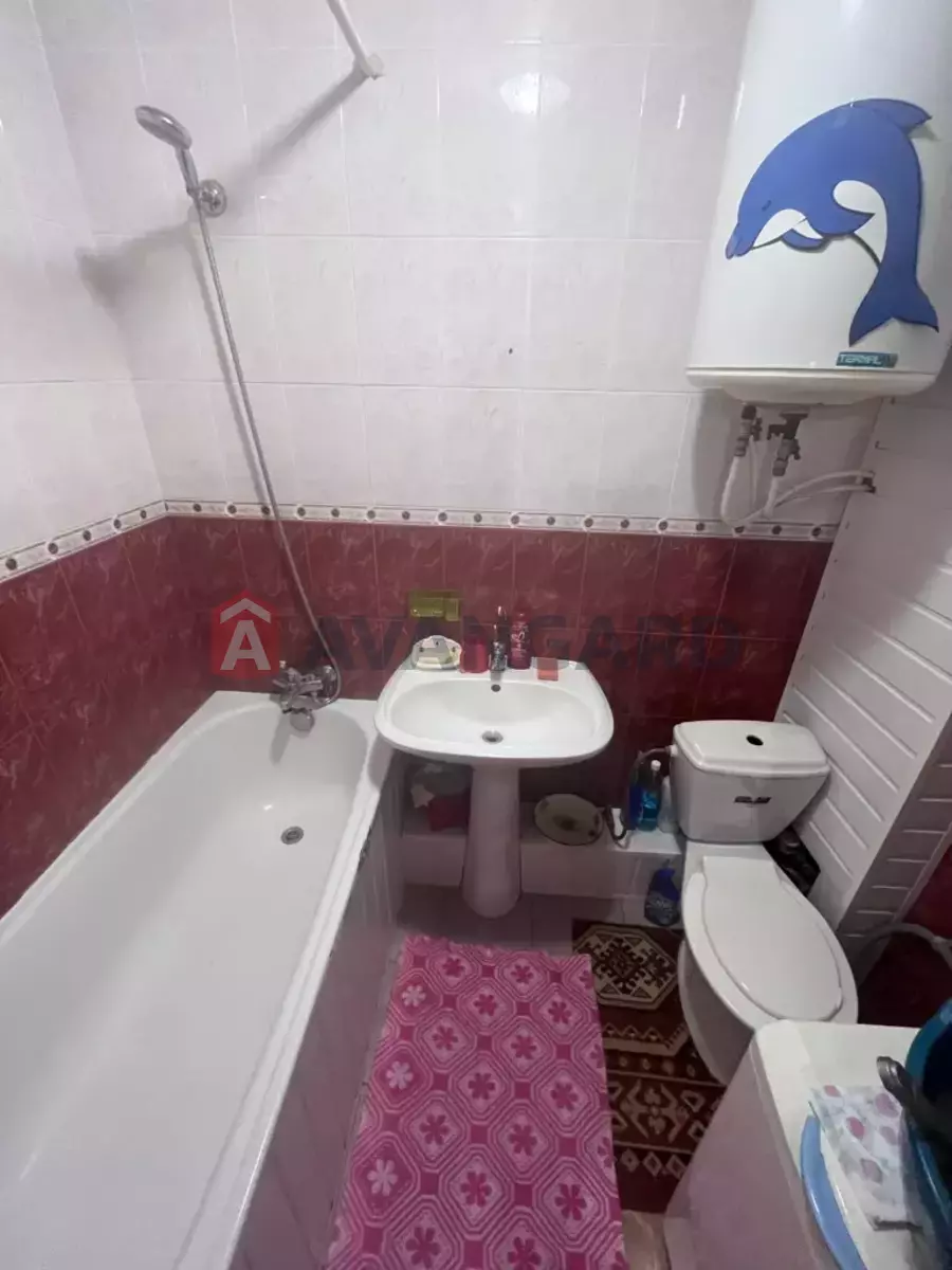 3 ��. ��������, 66/-/8 ��. �., 5/9 ������ ���� 5