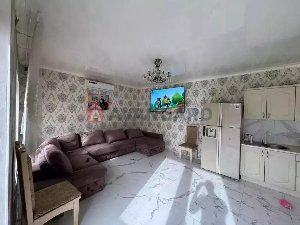 �������, 230 ��.�. ���� 14