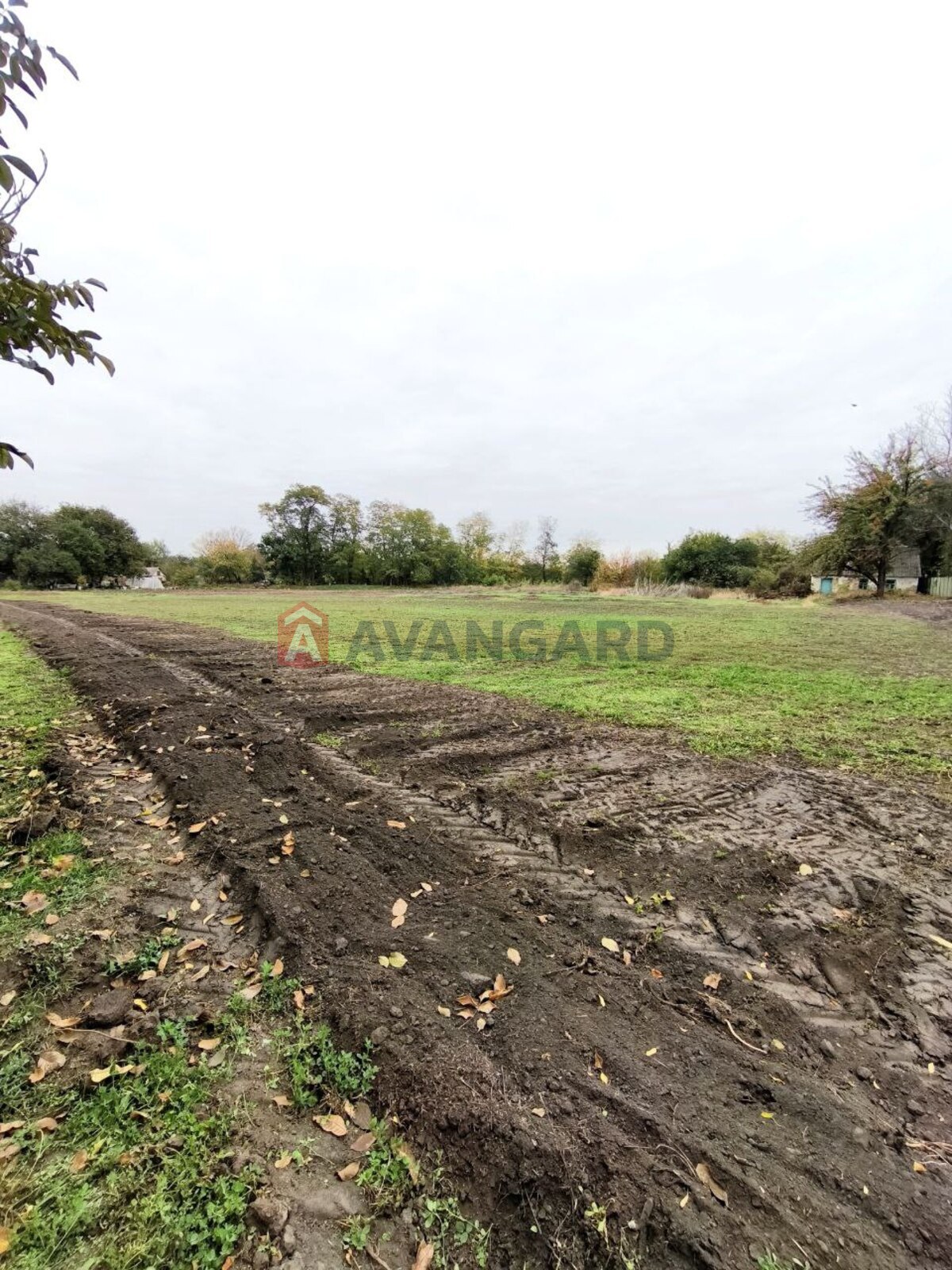 �������, 42 ��.�. ���� 15