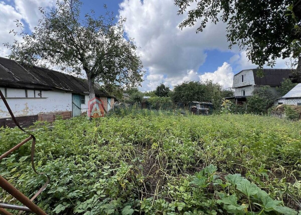 ������� �������, 50 ��.�. ���� 3