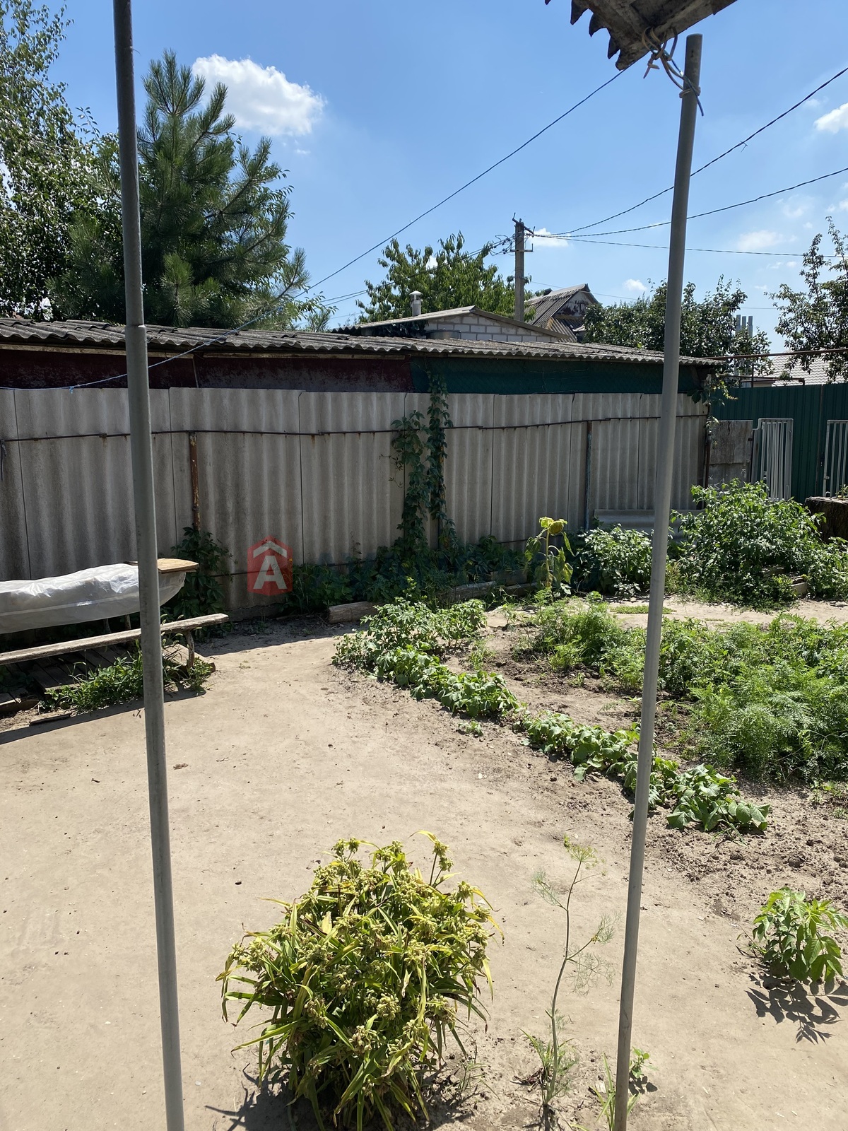 ������� �������, 44 ��.�. ���� 10