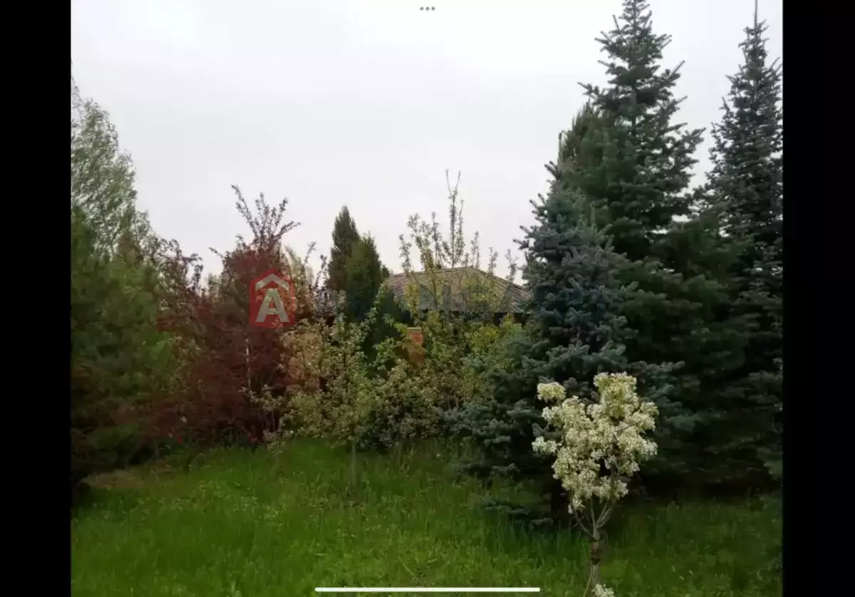 �������, 164 ��.�. ���� 6