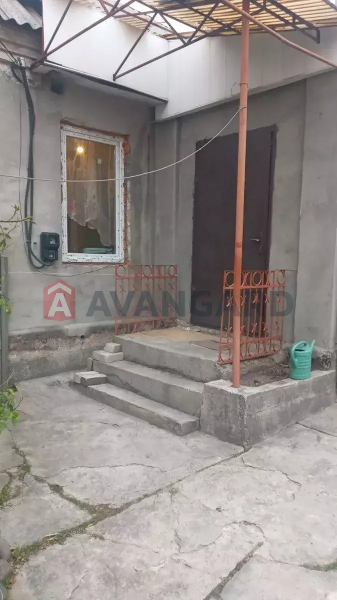 �������, 50 ��.�. ���� 1