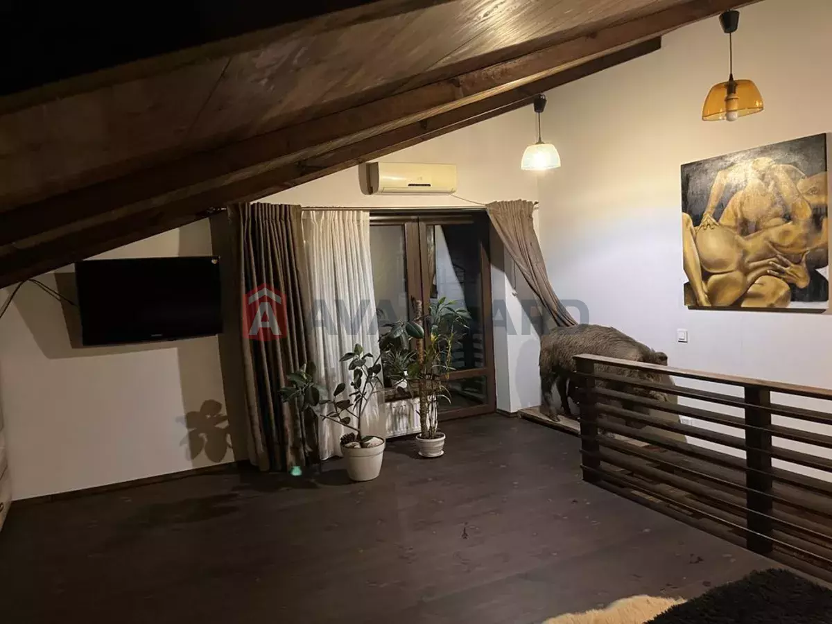 �������, 100 ��.�. ���� 15