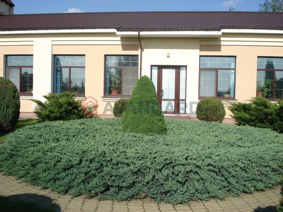 �������, 500 ��.�. ���� 8