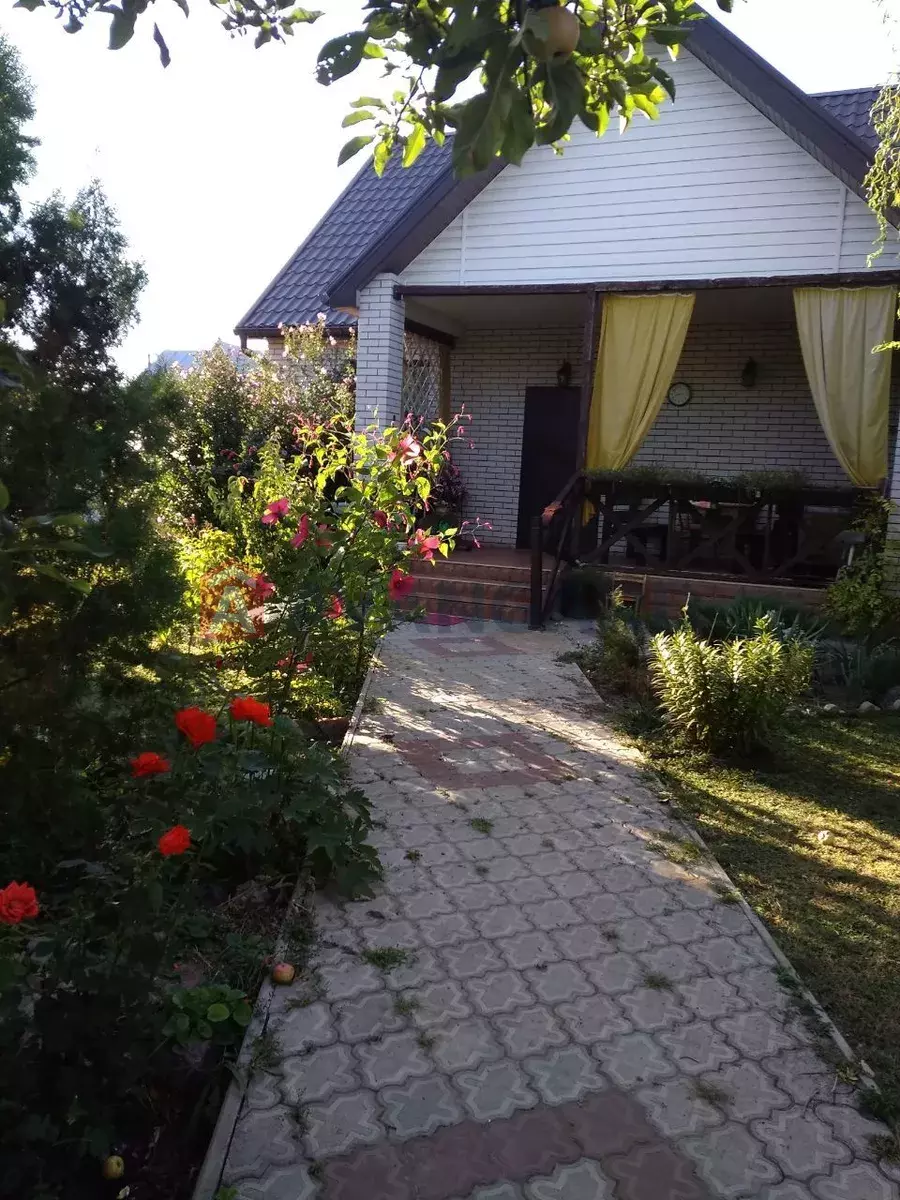 �������, 80 ��.�. ���� 1