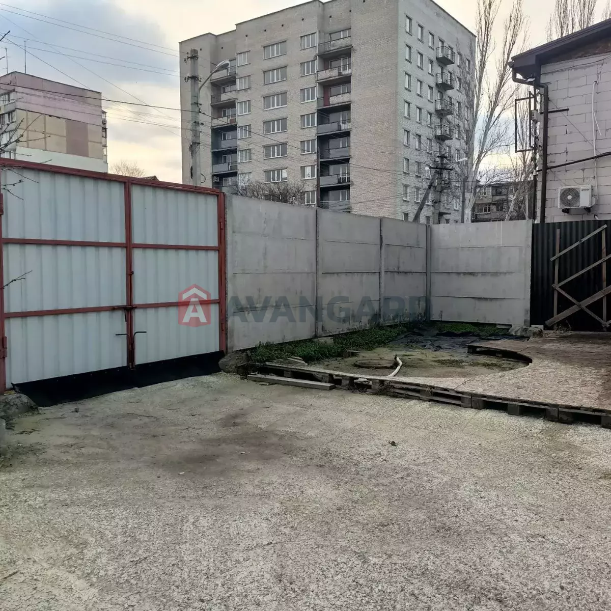 ����� ����, 50 ��.�. ���� 5