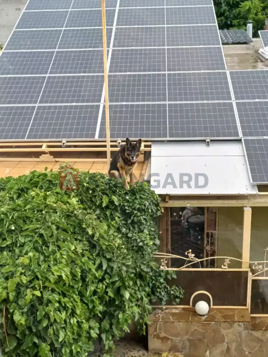 �������, 400 ��.�. ���� 22