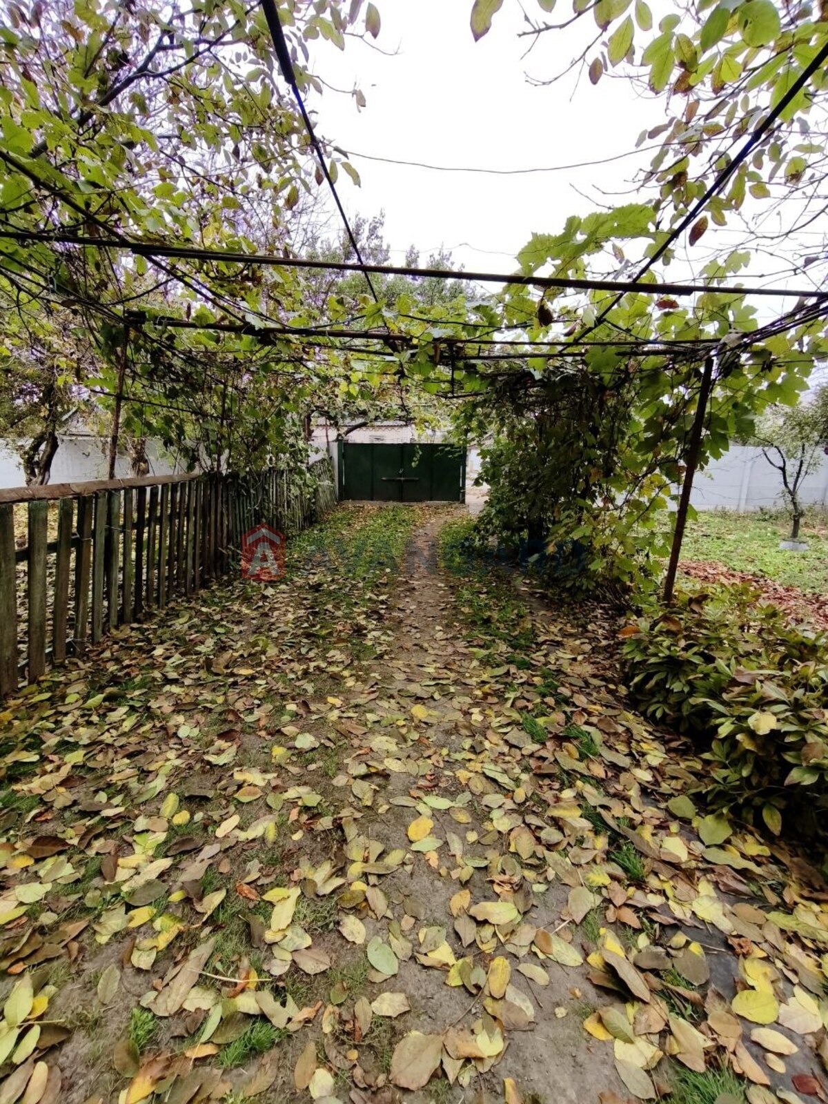 �������, 42 ��.�. ���� 14