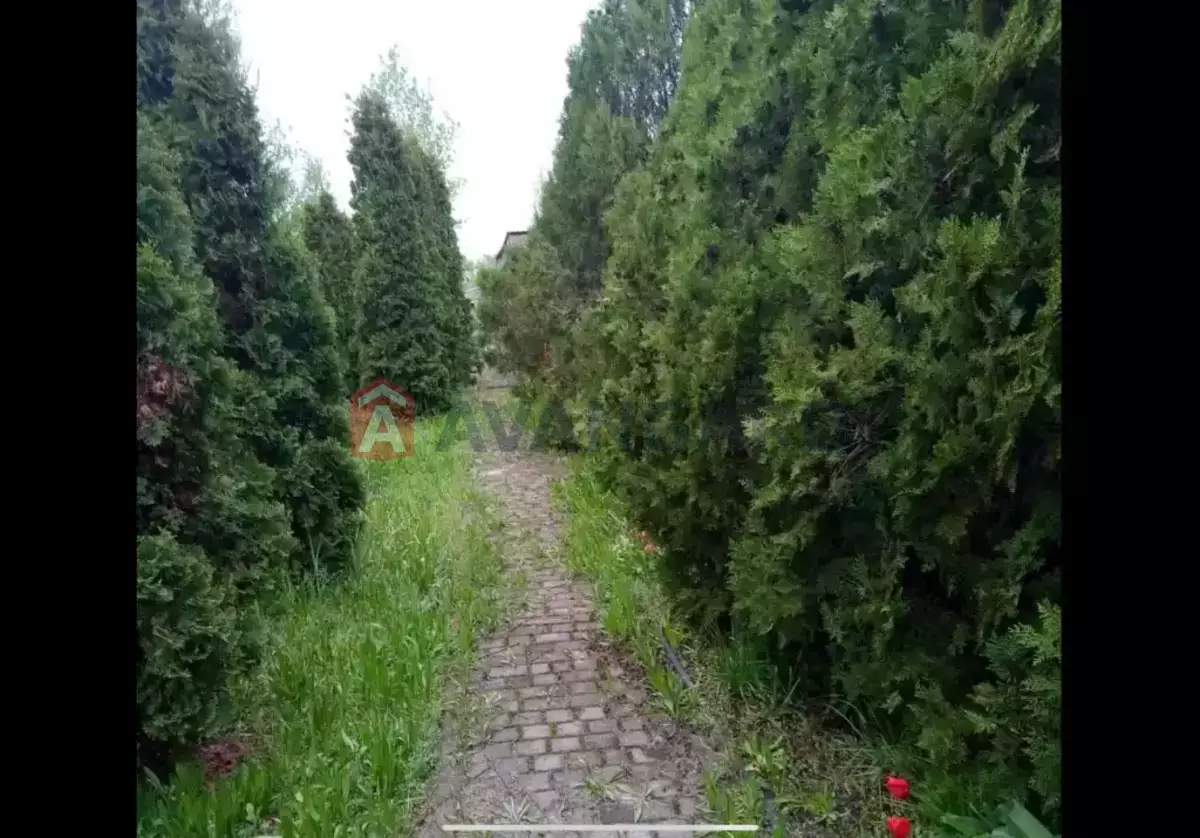 �������, 164 ��.�. ���� 5