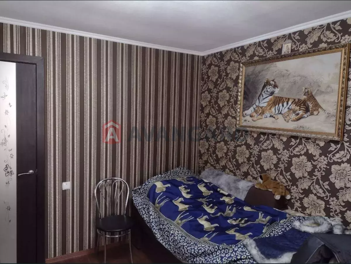 �������, 66 ��.�. ���� 7