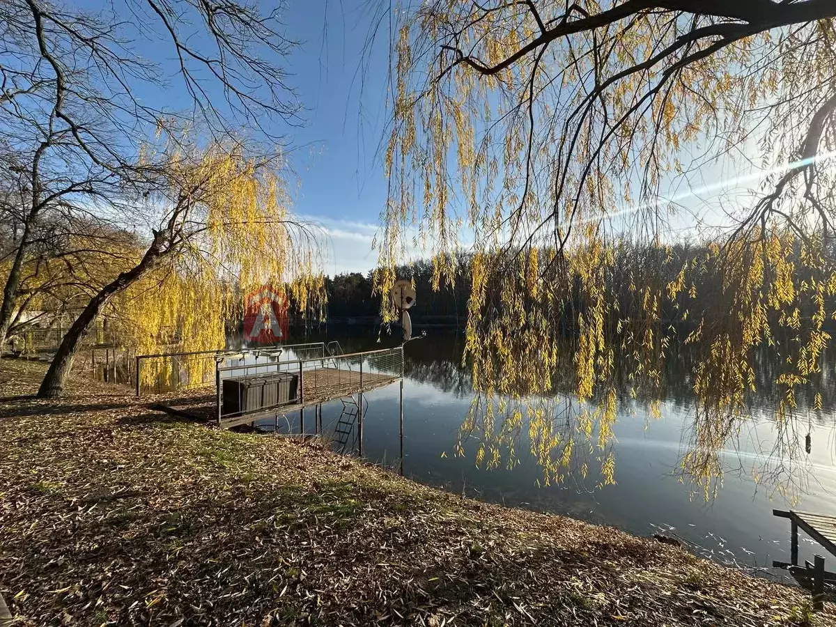 �������, 200 ��.�. ���� 4