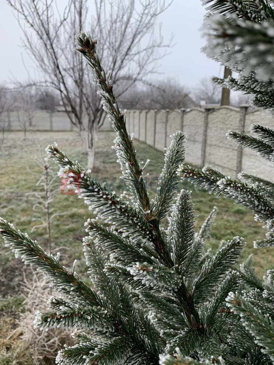 �������, 228 ��.�. ���� 15