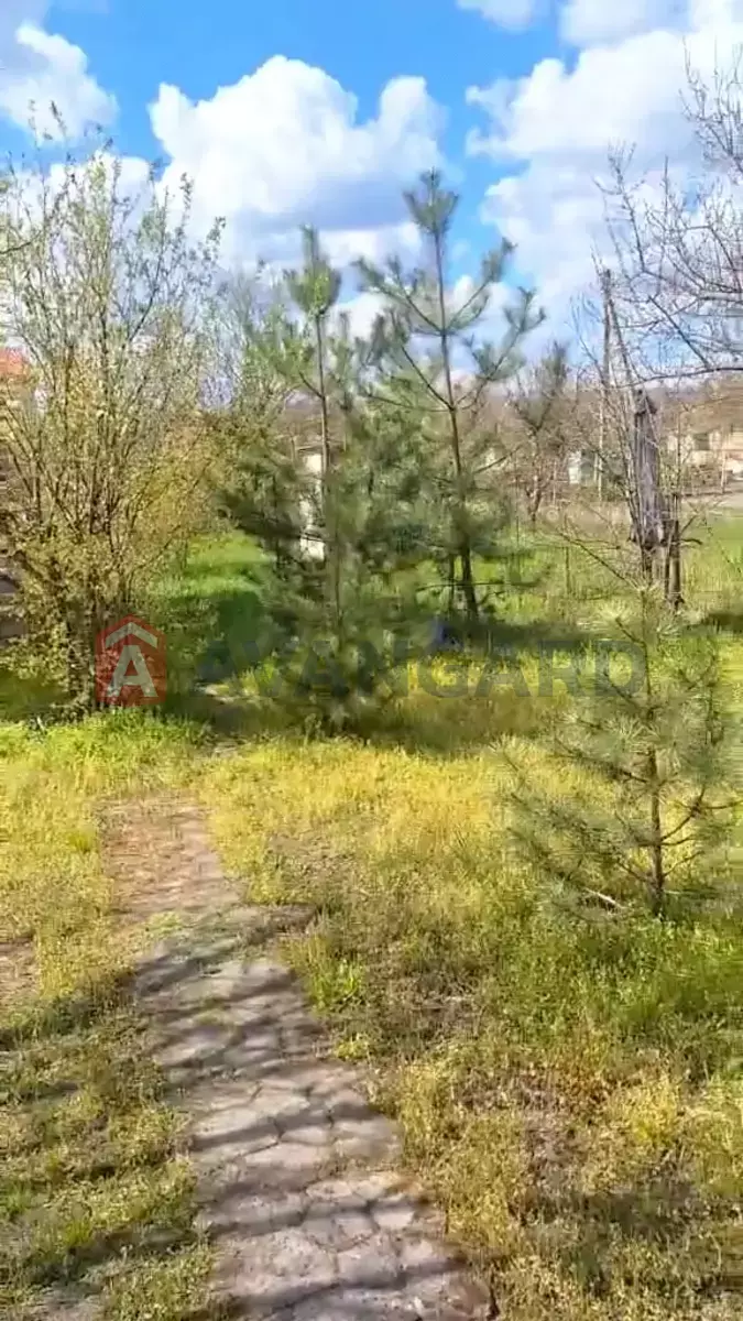 ���, 100 ��.�. ���� 26