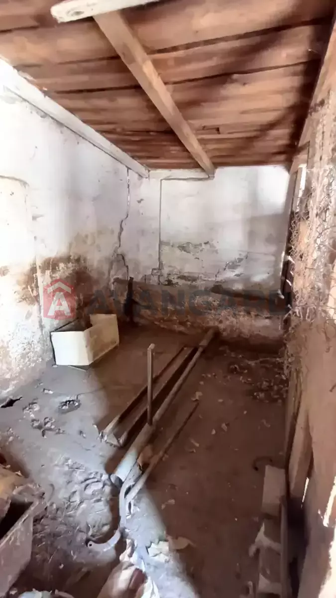 , 250 ..  19