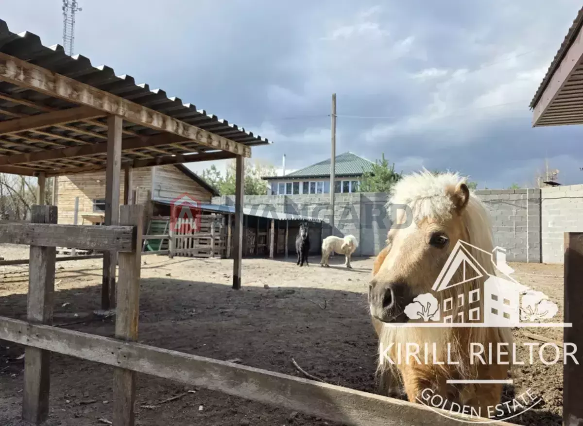 �������, 300 ��.�. ���� 3