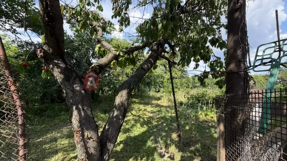 �������, 150 ��.�. ���� 6