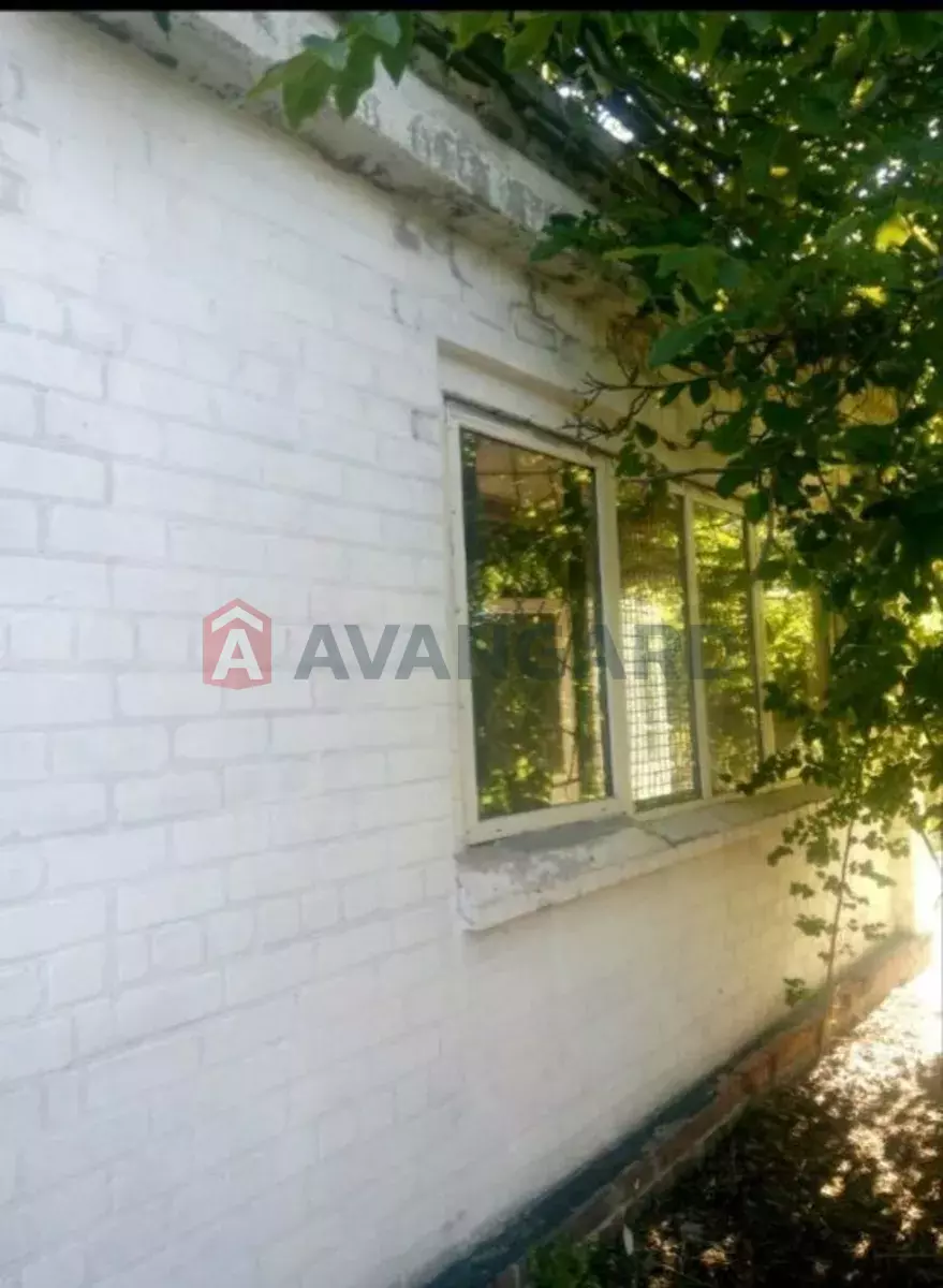 �������, 50 ��.�. ���� 6