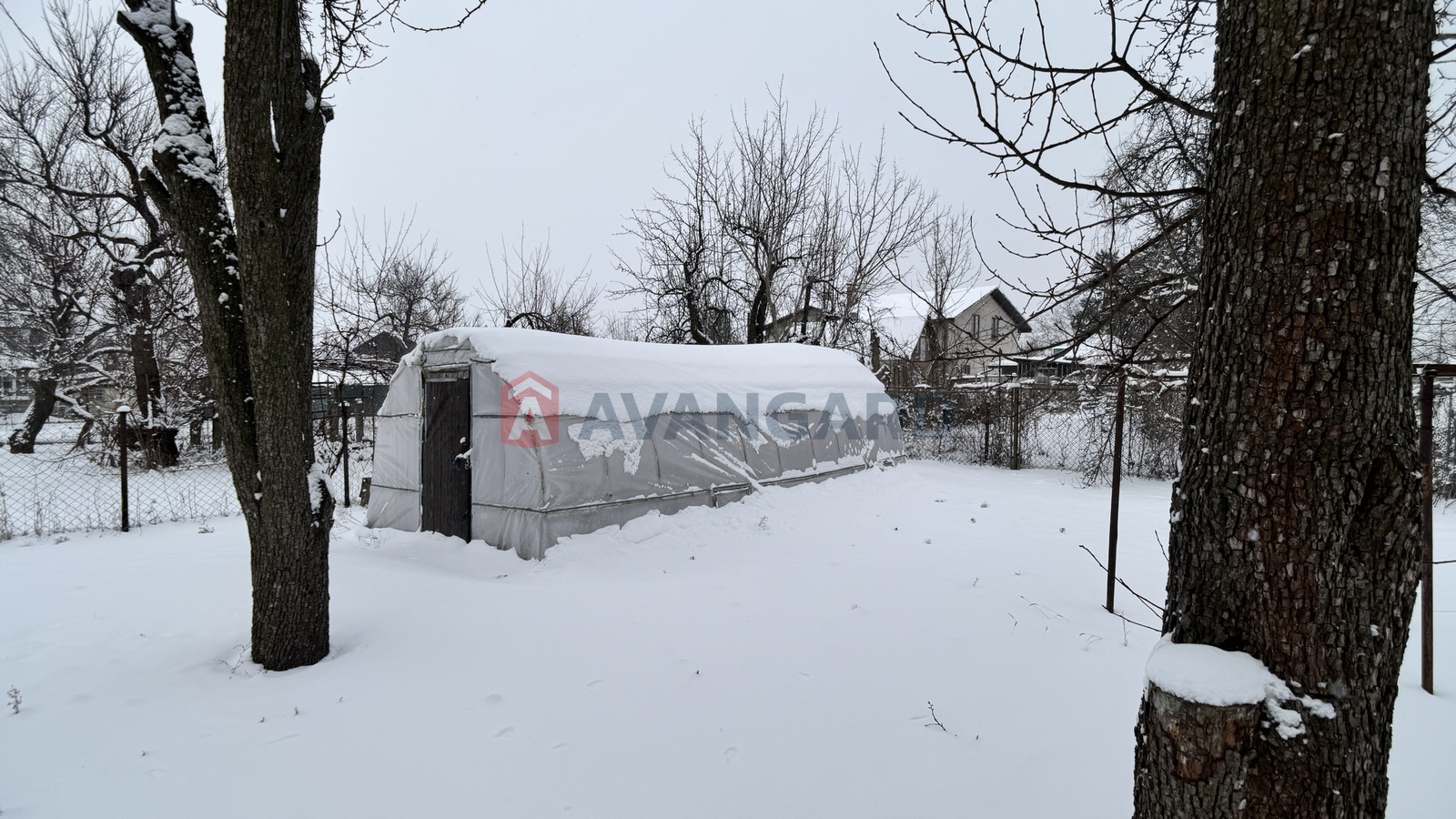 �������, 63 ��.�. ���� 19