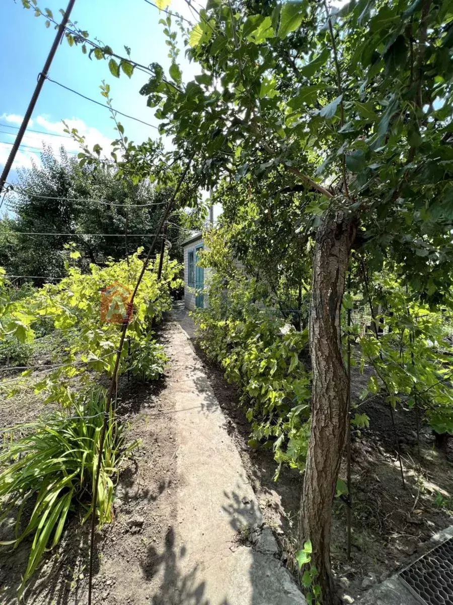 �������, 73 ��.�. ���� 16