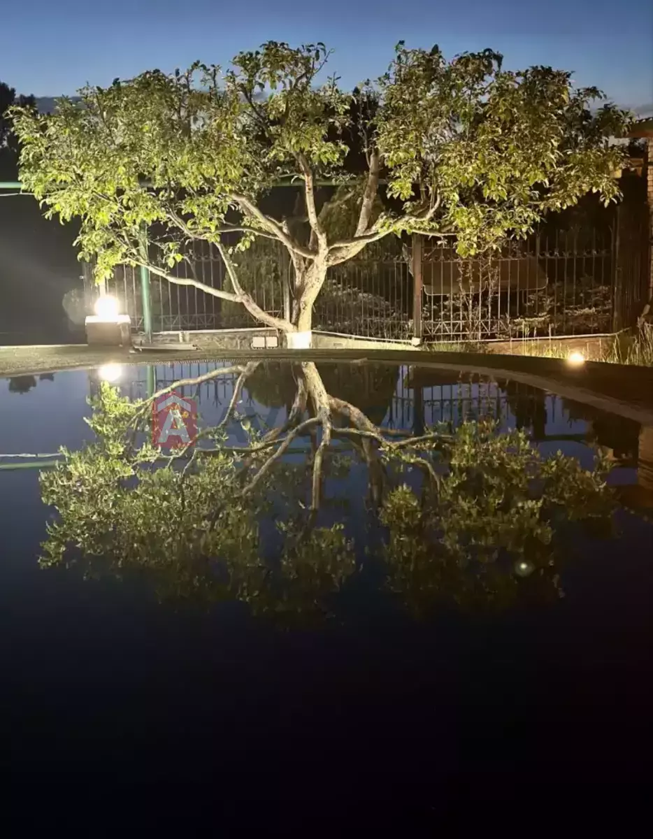 �������, 500 ��.�. ���� 7