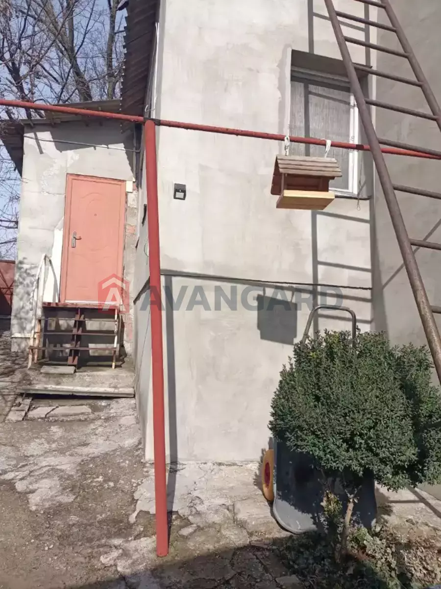 ������� �������, 34 ��.�. ���� 19