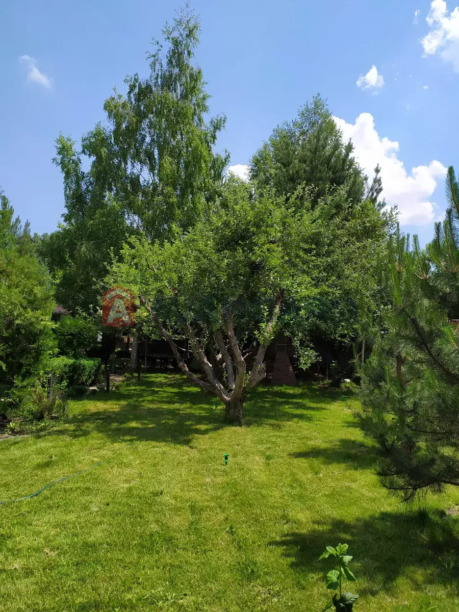 �������, 200 ��.�. ���� 10