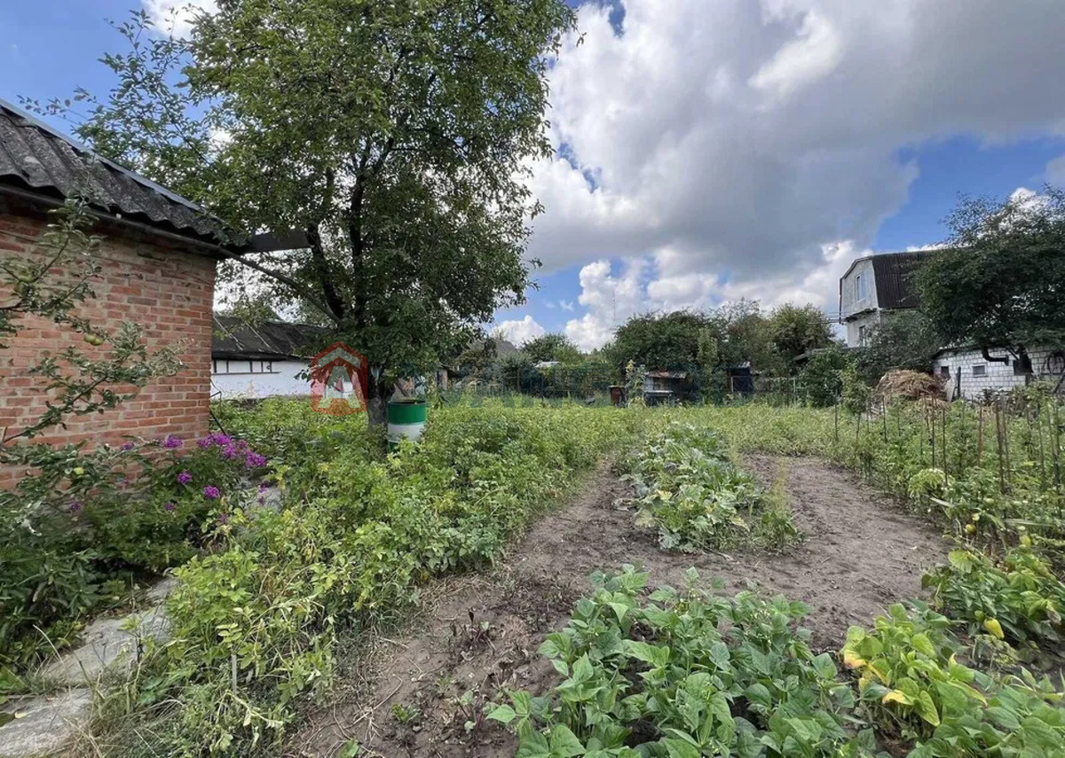 ������� �������, 50 ��.�. ���� 5