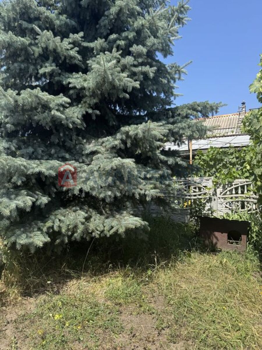 �������, 90 ��.�. ���� 3