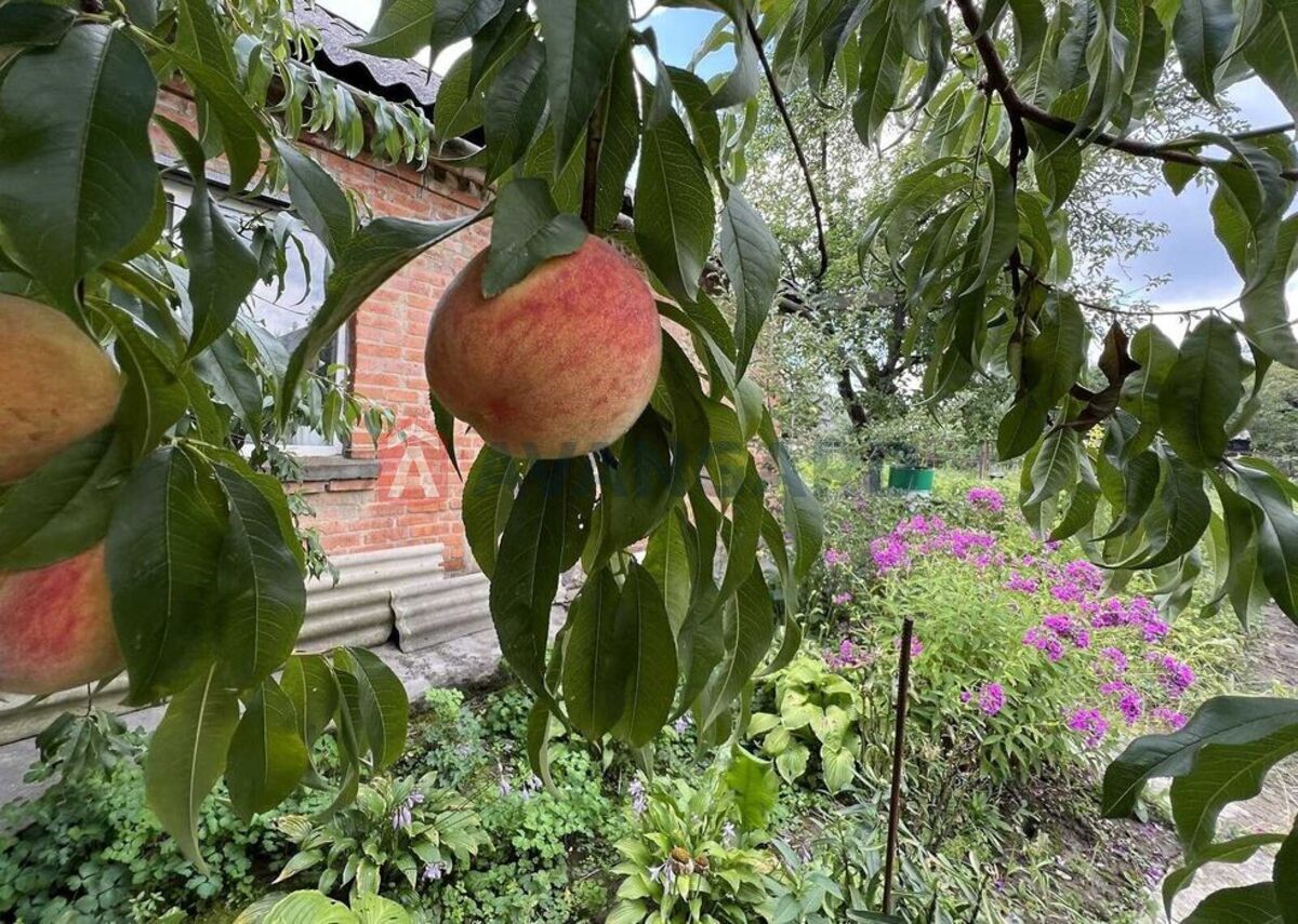 ������� �������, 50 ��.�. ���� 7