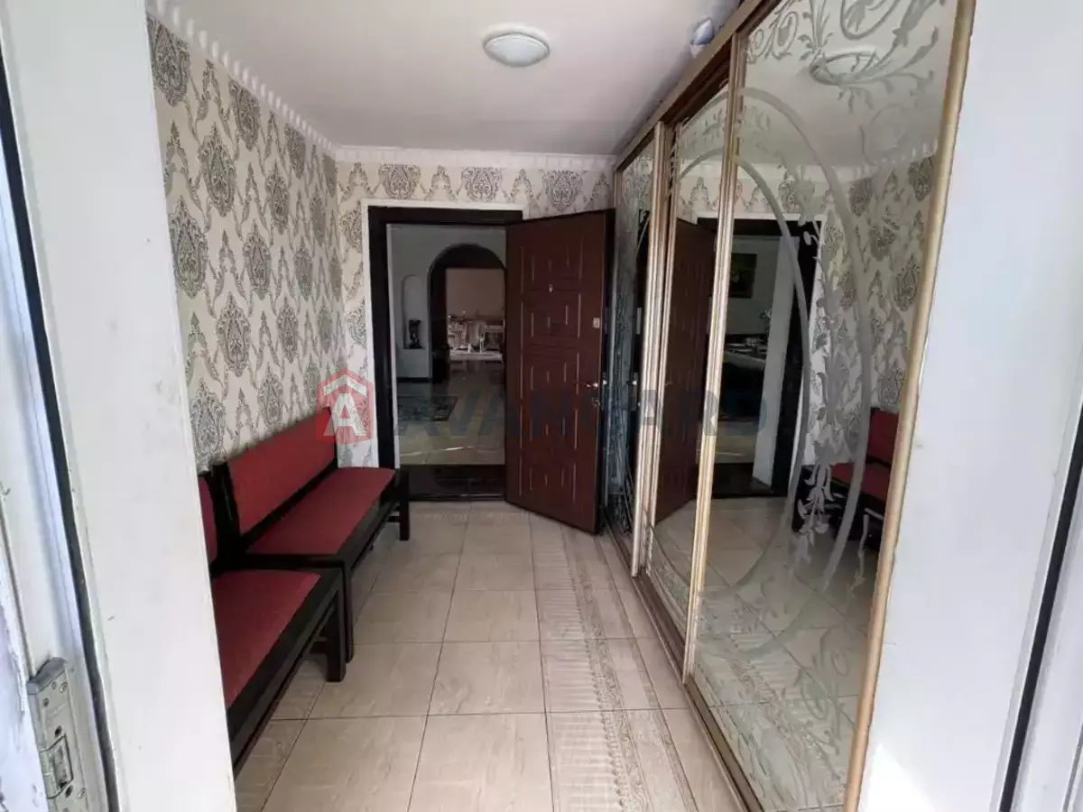 �������, 230 ��.�. ���� 3