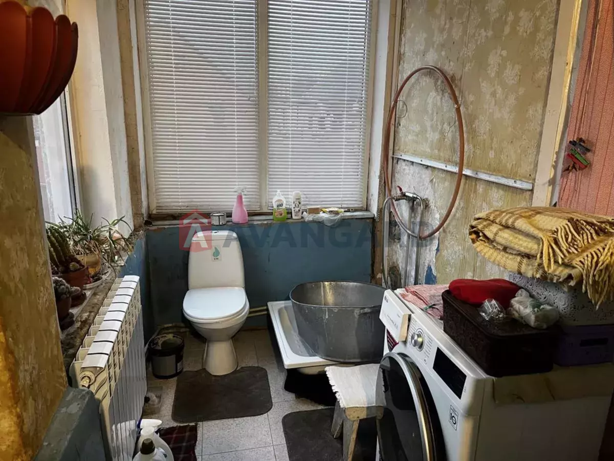 �������, 49 ��.�. ���� 5