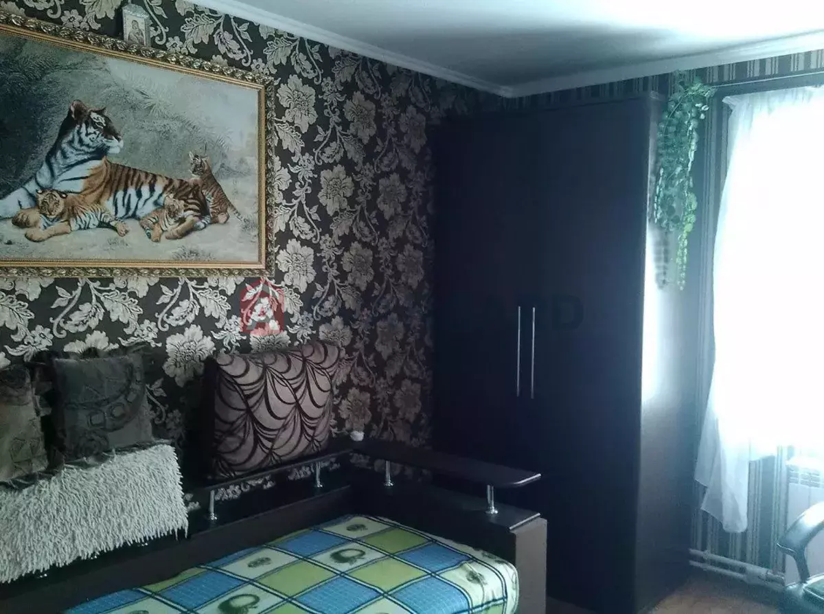 �������, 66 ��.�. ���� 3