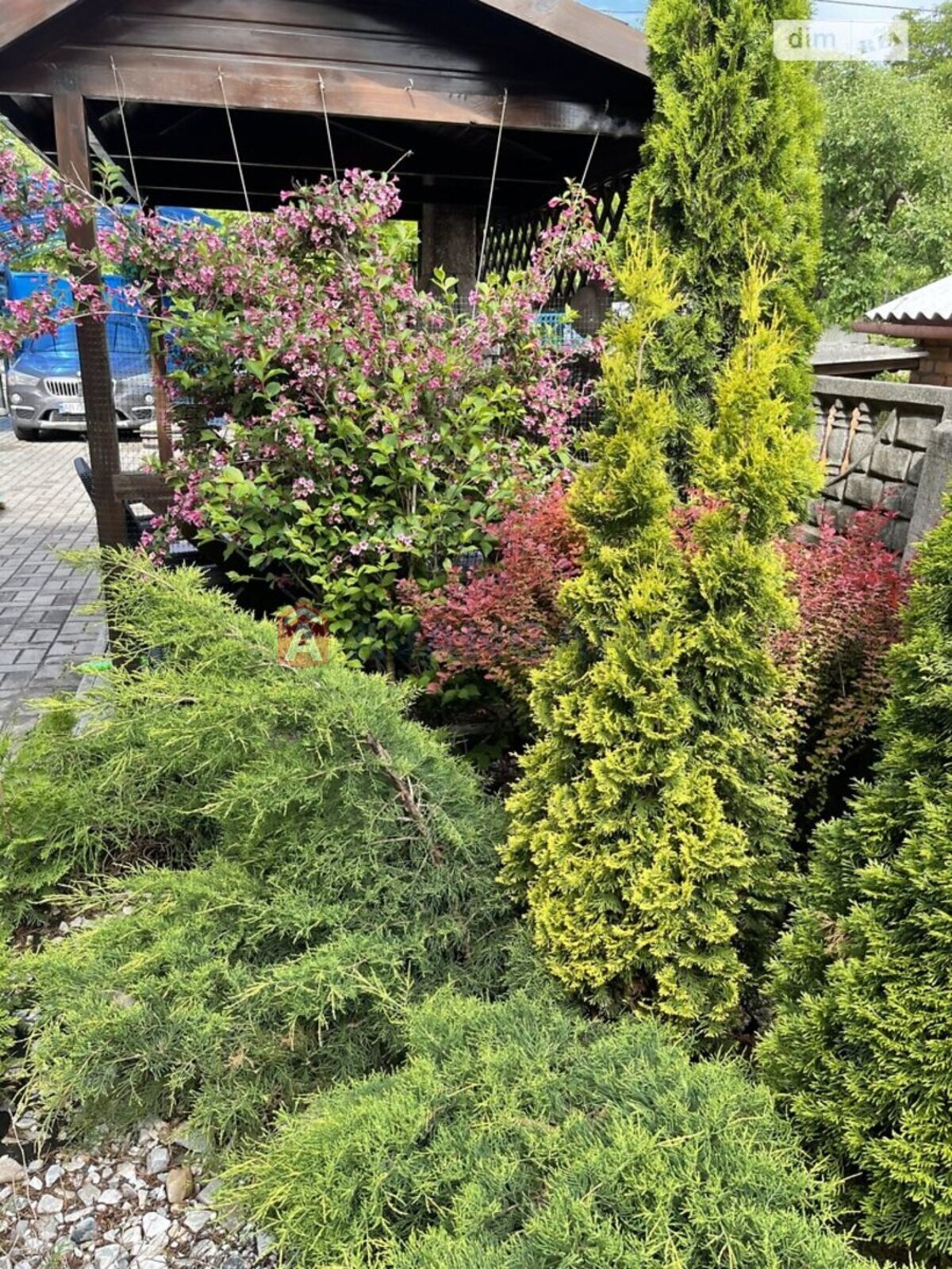 ����� ����, 286 ��.�. ���� 18