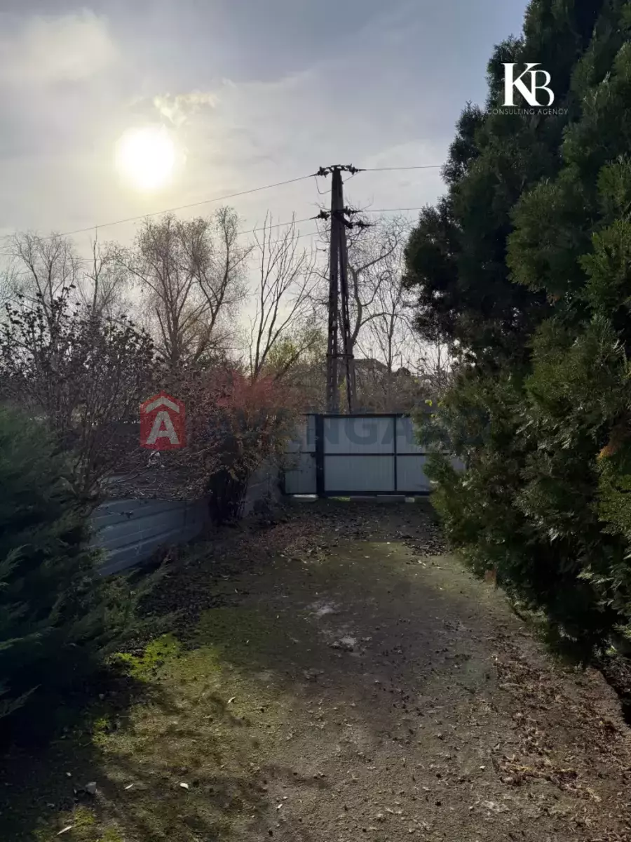 �������, 79 ��.�. ���� 12