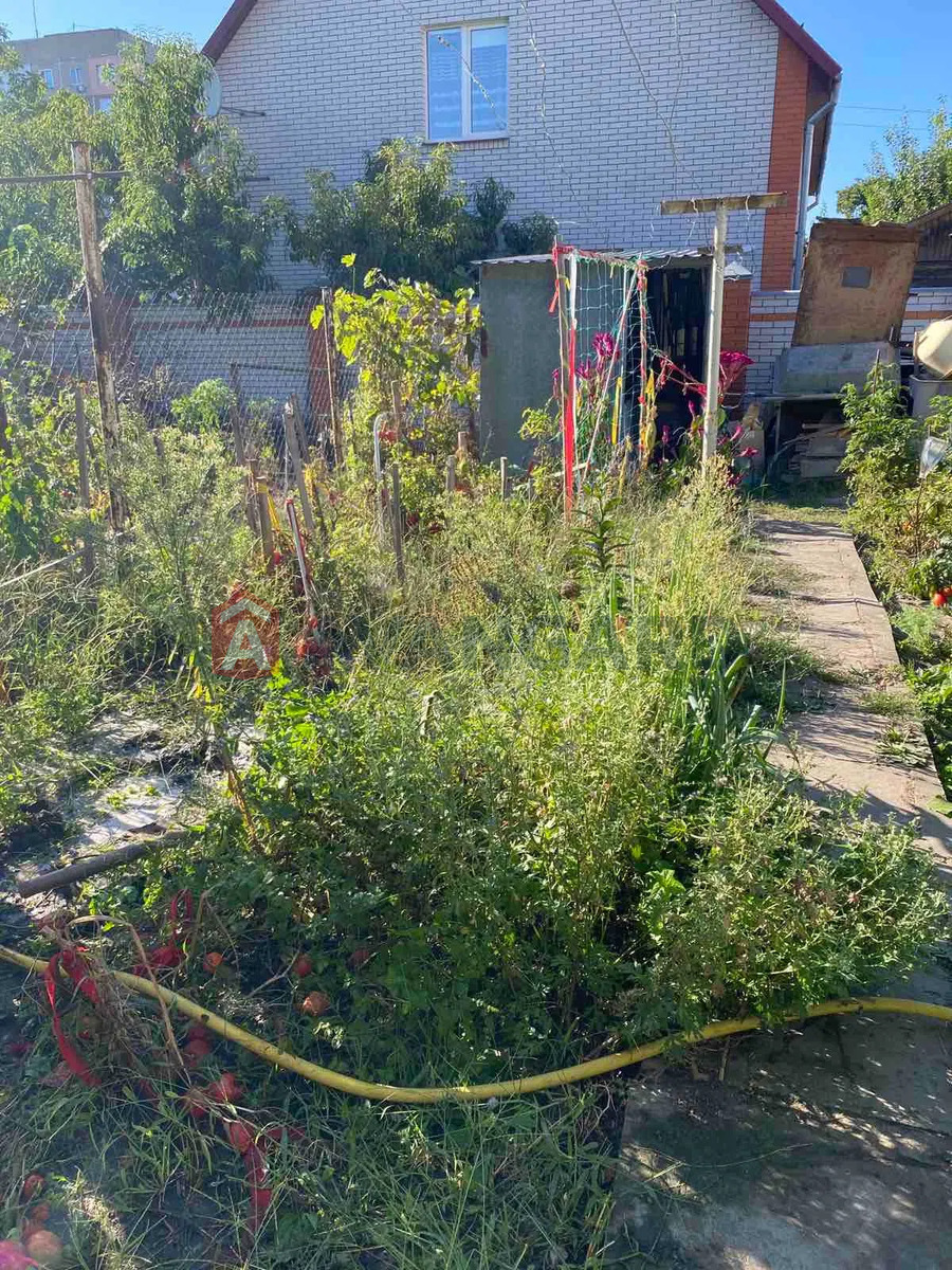 �������, 40 ��.�. ���� 11