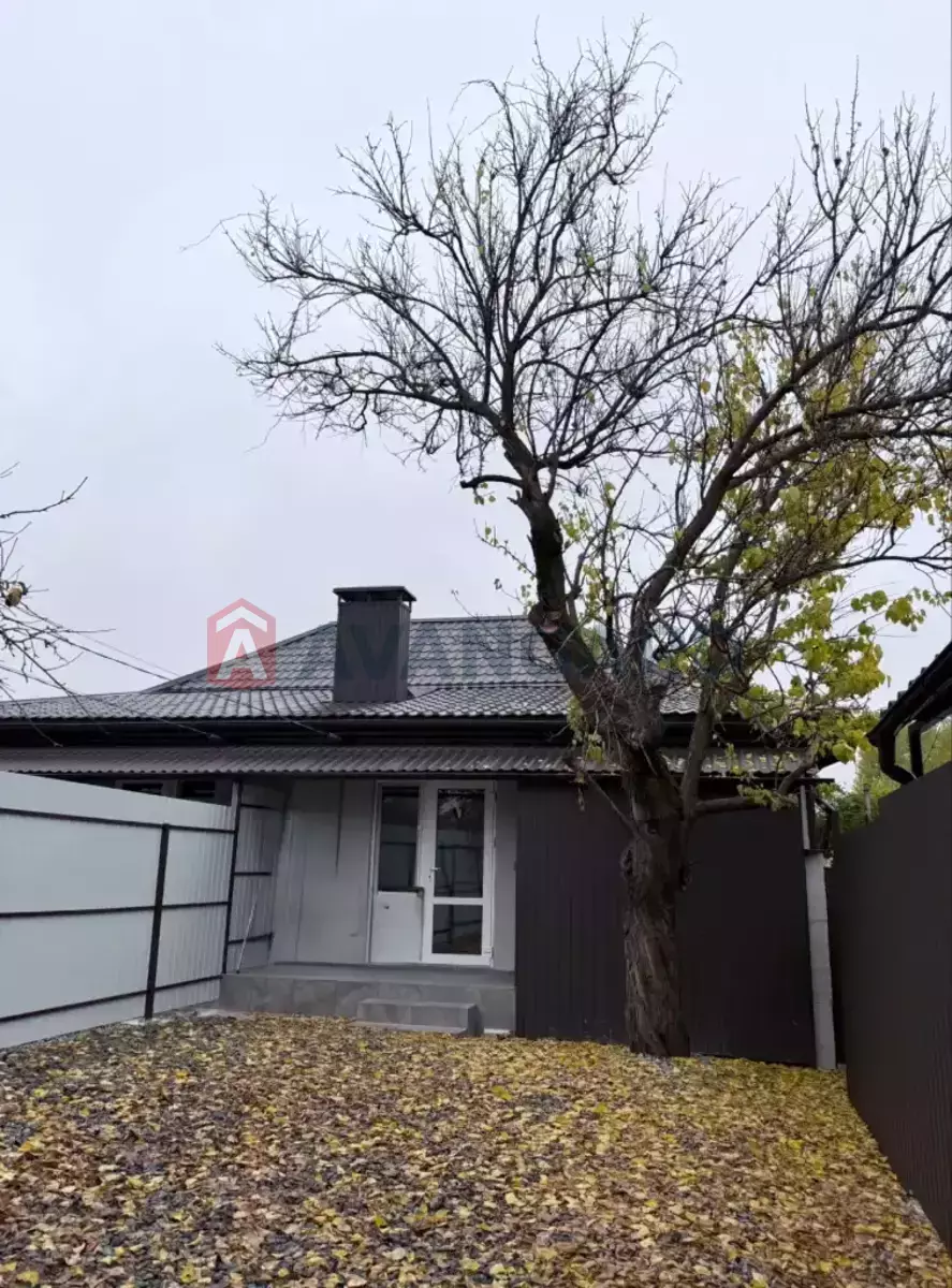 ����� ����, 50 ��.�. ���� 8