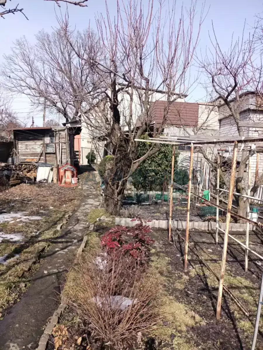 ������� �������, 34 ��.�. ���� 22