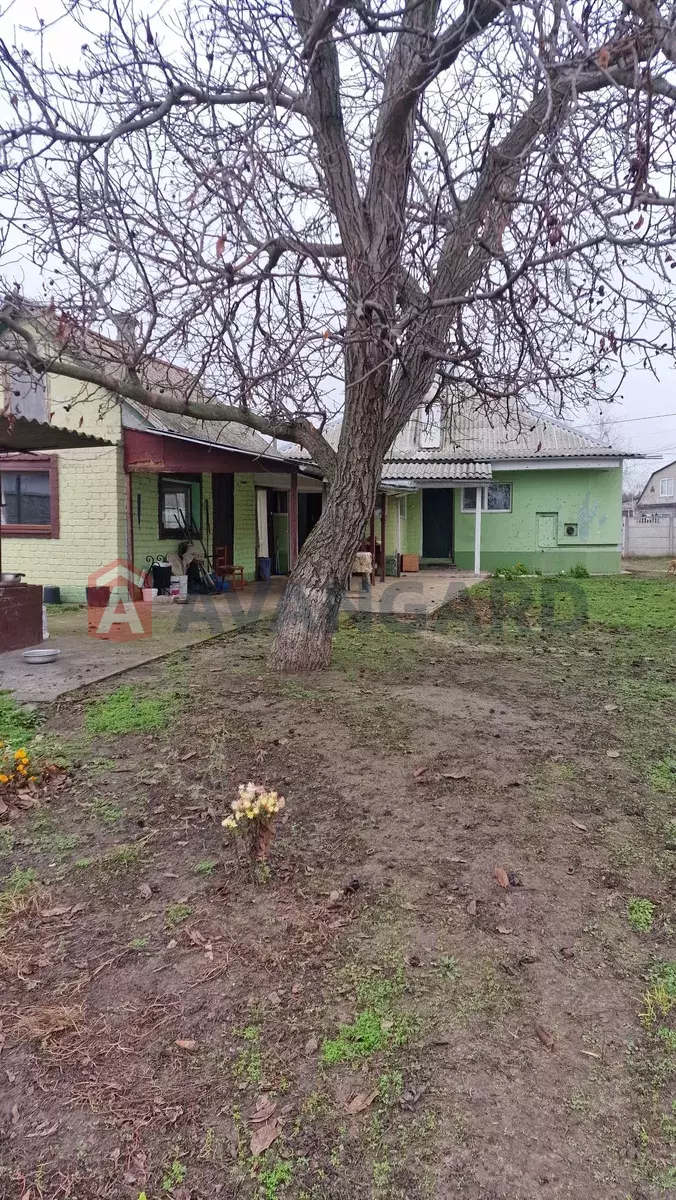 �������, 130 ��.�. ���� 5