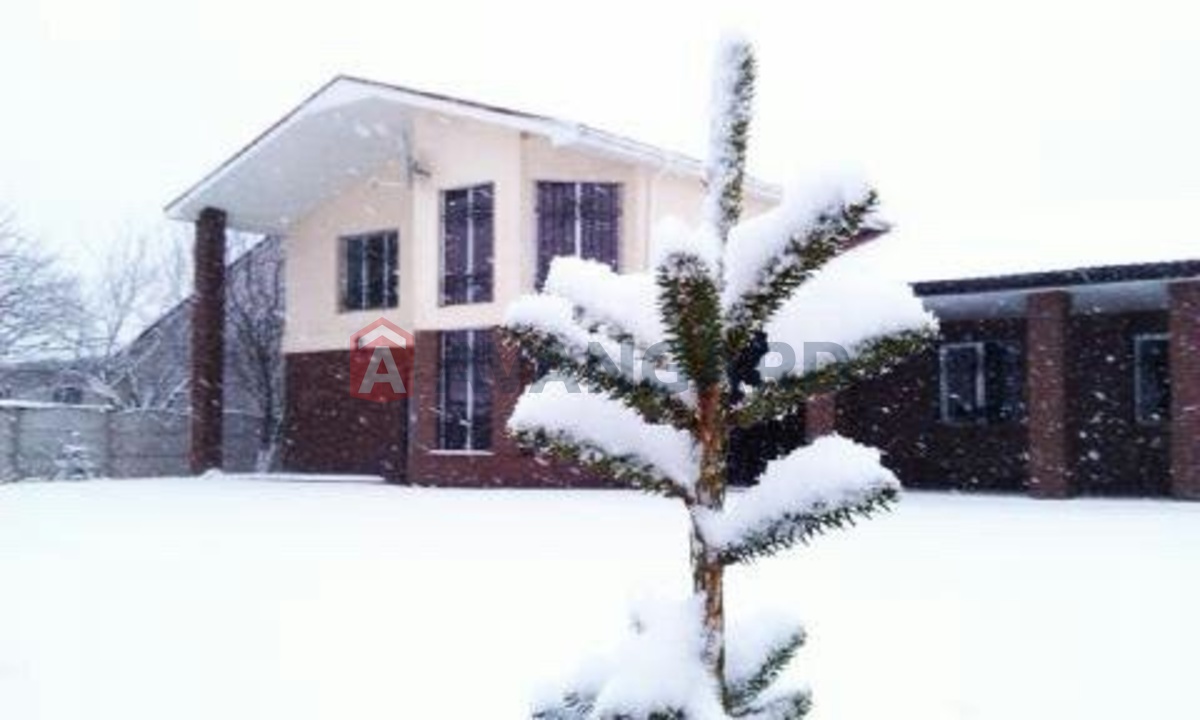 �������, 228 ��.�. ���� 17