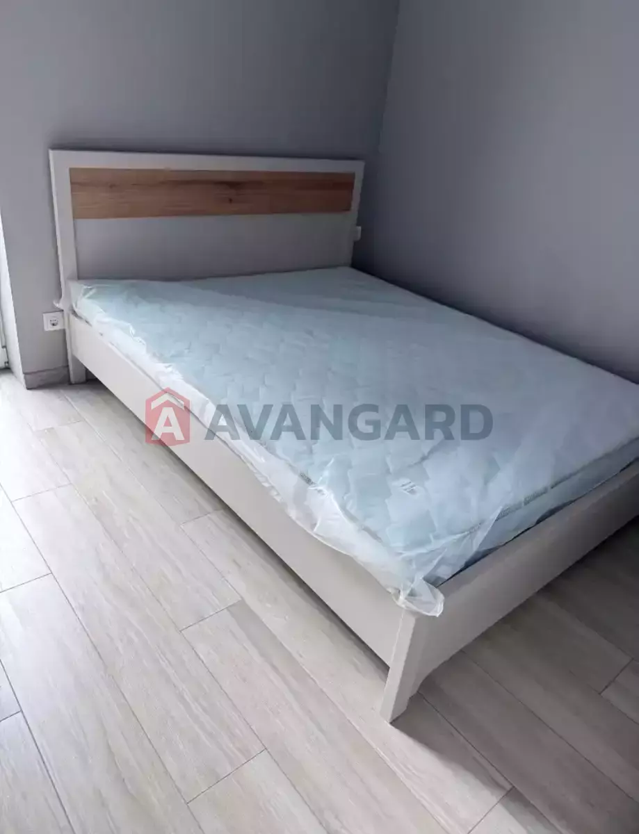 ����� ����, 50 ��.�. ���� 5