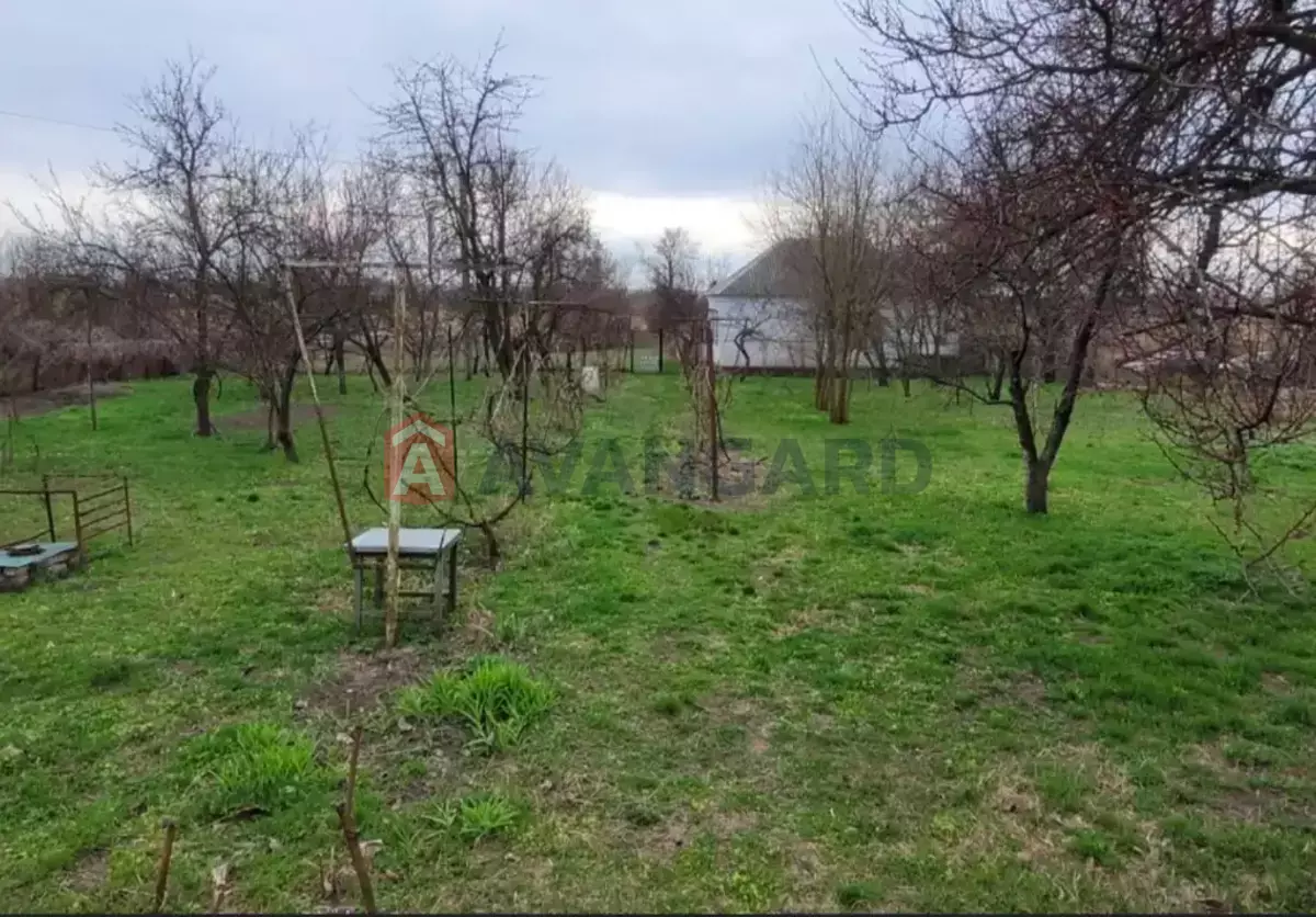 �������, 73 ��.�. ���� 17