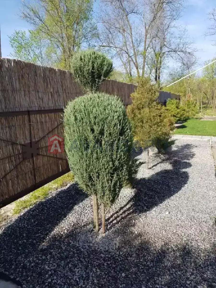 ����, 75 ��.�. ���� 21