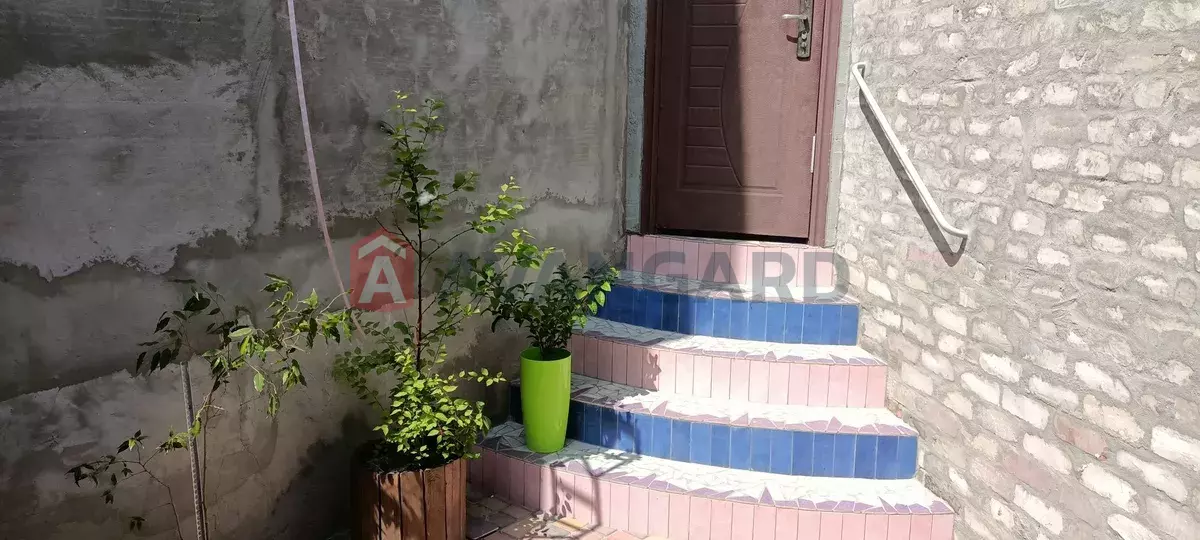 ����� ����, 25 ��.�. ���� 24