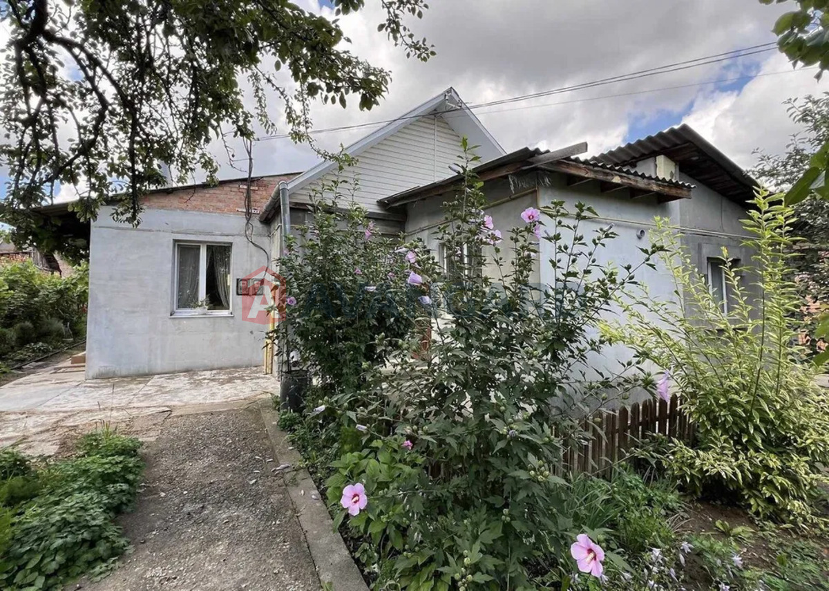 ������� �������, 50 ��.�. ���� 2