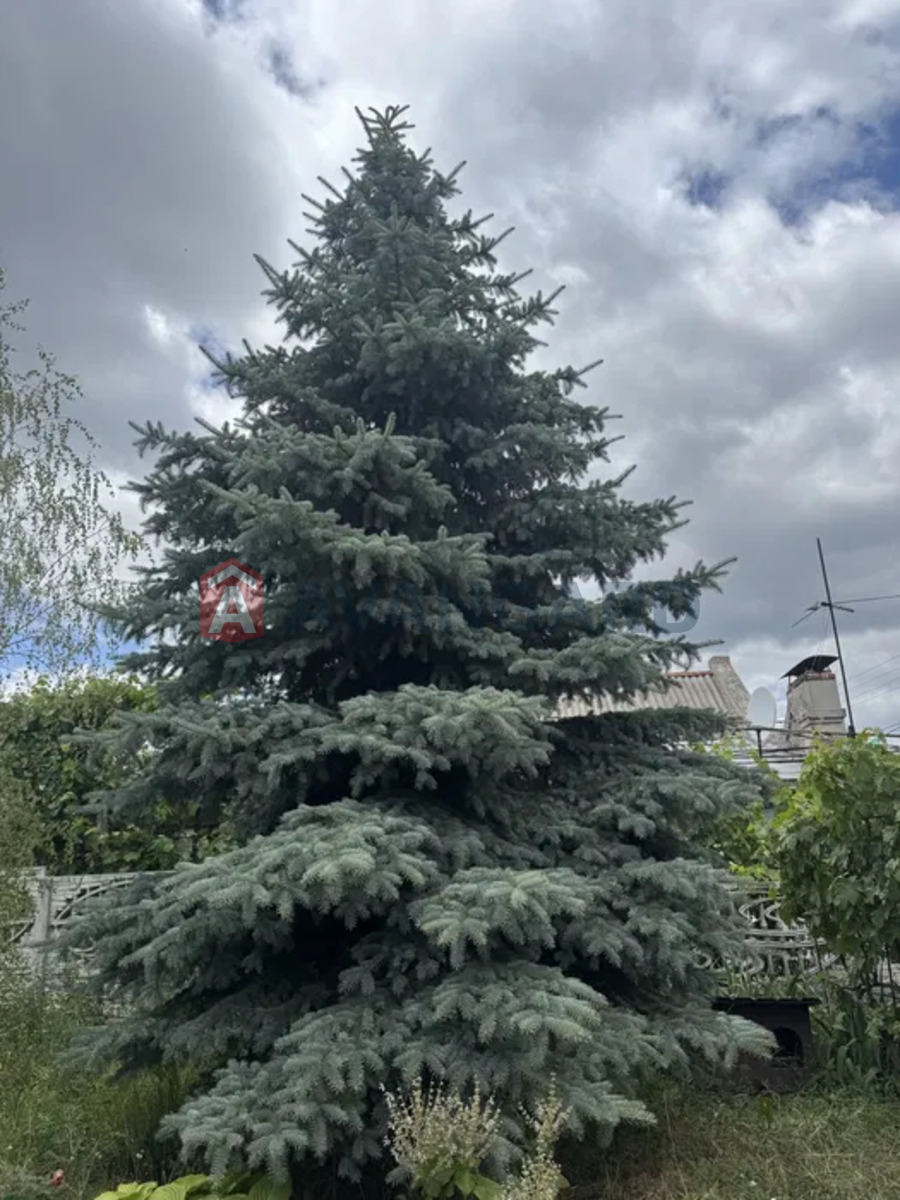 �������, 90 ��.�. ���� 5