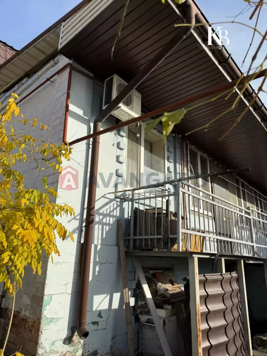 �������, 79 ��.�. ���� 5